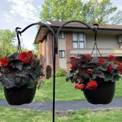 AshmanOnline Ashman Shepherds Hook 65 Inch Two Sided Shepherd Hook, 1/2 Inch Thick, Super Strong, Rust Resistant Steel Hook Ideal For Use For Hanging Plant Baskets, Bird Feeders, And Weddings, 2 Pack Shepherd's Hooks