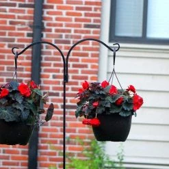 AshmanOnline Ashman Shepherds Hook 65 Inch Two Sided Shepherd Hook, 1/2 Inch Thick, Super Strong, Rust Resistant Steel Hook Ideal For Use For Hanging Plant Baskets, Bird Feeders, And Weddings, 2 Pack Shepherd's Hooks