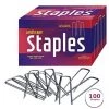 AshmanOnline Ashman 6 Inch Landscape Staples, 100 Count