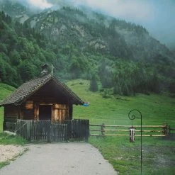 AshmanOnline Ashman Shepherd's Hooks, Black, Made Of Premium Metal For Hanging Solar Lights, Bird Feeders, Mason Jars, Garden Stakes And Weddings (6 Pack)