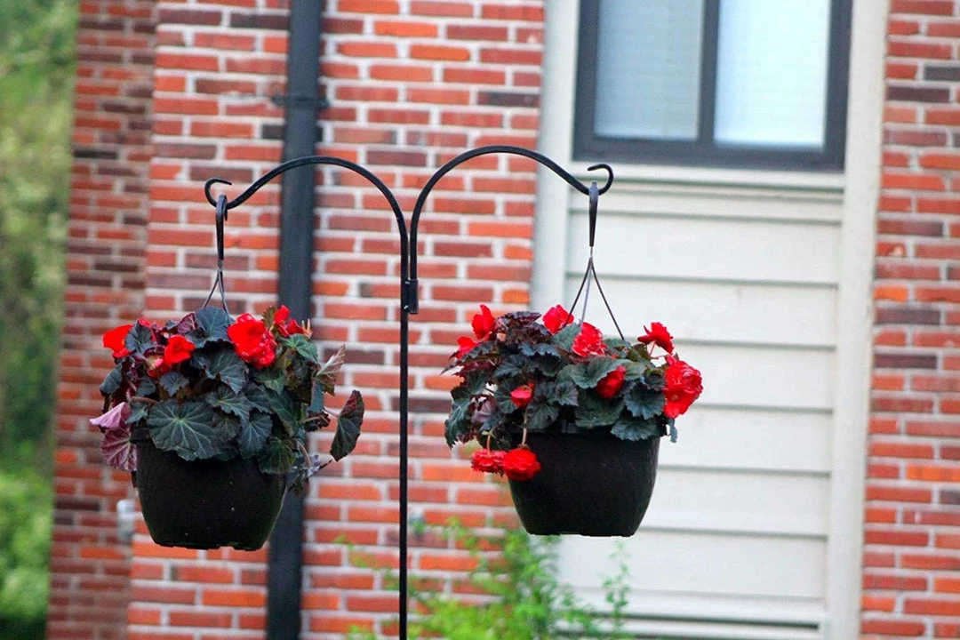 AshmanOnline Shepherd's Hooks Ashman Shepherds Hook 65 Inch Two Sided Shepherd Hook, 1/2 Inch Thick, Super Strong, Rust Resistant Steel Hook For Hanging Plant Baskets, 4 Pack 6 AshmanOnline Shepherd's Hooks Ashman Shepherds Hook 65 Inch Two Sided Shepherd Hook, 1/2 Inch Thick, Super Strong, Rust Resistant Steel Hook For Hanging Plant Baskets, 4 Pack