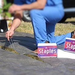 AshmanOnline Ashman 6 Inch Landscape Staples, 50 Count