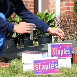 AshmanOnline Ashman 6 Inch Landscape Staples, 10,000 Count