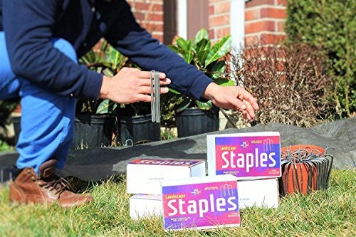 AshmanOnline Ashman Garden Landscape Staples Stakes Pins SOD Staples For Weed Barrier Fabric, Drip Irrigation Tubing, 200 Count Heavy Duty & Anti Rust. 3 AshmanOnline Ashman Garden Landscape Staples Stakes Pins SOD Staples For Weed Barrier Fabric, Drip Irrigation Tubing, 200 Count Heavy Duty & Anti Rust.