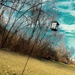 Ashman Garden Decor Ashman Black Shepherd Hook 92 Inch 500 Pack, 15MM Thick, Super Strong, Rust Resistant Steel Hook