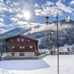 Ashman Online Ashman Premium Bird Feeding Station 92 Inches Tall – 22" Wide X 92" Tall – 4 Hangers Along With Bird Bath Tray, Mesh Tray – 5 Pronged Base Support. 13 Ashman Online Ashman Premium Bird Feeding Station 92 Inches Tall – 22