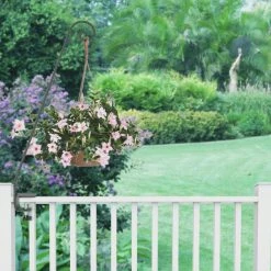 Ashman Garden Decor Ashman Small Deck Hook Small 2 Pack, Double Forged Solid Metal Single Piece Rod, Ideal For Bird Feeders, Plant Hanging Basket Deck Hooks