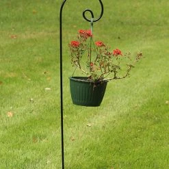AshmanOnline Ashman 65 Inch Curled Shepherds Hook Black, 1/2-Inch Diameter Thick, Solid Metal For Hanging Plant Bird Feeders, Flower Baskets And More