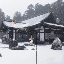 AshmanOnline Ashman 65 Inch Curled Shepherds Hook Black, 1/2-Inch Diameter Thick, Solid Metal For Hanging Plant Bird Feeders, Flower Baskets And More