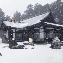 Ashman Online Ashman Shepherd Hook 35 Inch 12 Pack, 1/4 Inch Thick, Made Of Premium Metal For Hanging Bird Feeders, Mason Jars And Wedding (12 Pack)