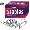 AshmanOnline Ashman 6 Inch Landscape Staples, 5000 Count