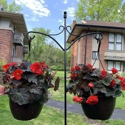 AshmanOnline Shepherd's Hooks Ashman 91 Inch Adjustable Shepherds Hook With Twin Hooks 5/8 Inches Thick, (1 Pack) Super Strong, Rust Resistant Steel Hook.