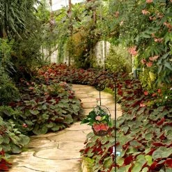 Ashman Garden Decor Ashman Shepherd's Hooks, Black, 35 Inch Curled, 2 Pack, Made Of Premium Metal For Hanging Solar Lights, Bird Feeders, Mason Jars, Plant Hangers, Flower Basket, Christmas Lights, Lanterns, Garden Stakes And Weddings