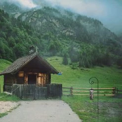 AshmanOnline Ashman Curled Shepherds Hook 48 Inch 1 Pack, 2/5 Inch Thick, Super Strong, Rust Resistant Steel Hook Ideal For Use At Weddings, Hanging Plant Baskets Shepherd's Hooks